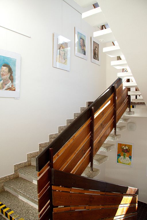 Společná výstava, červen 2010